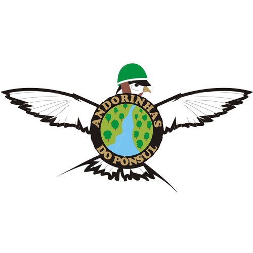 Andorinhas do Ponsul